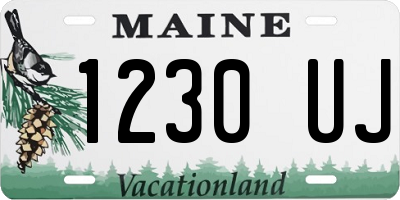 ME license plate 1230UJ