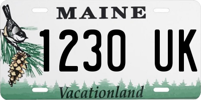 ME license plate 1230UK
