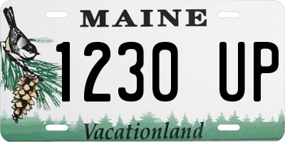 ME license plate 1230UP