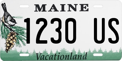 ME license plate 1230US