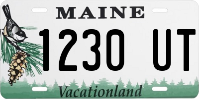 ME license plate 1230UT