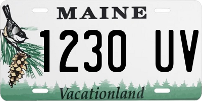ME license plate 1230UV
