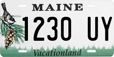 ME license plate 1230UY