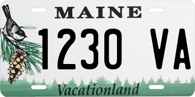 ME license plate 1230VA