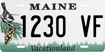 ME license plate 1230VF
