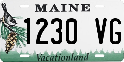 ME license plate 1230VG