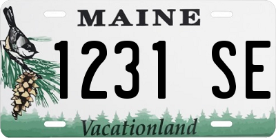 ME license plate 1231SE