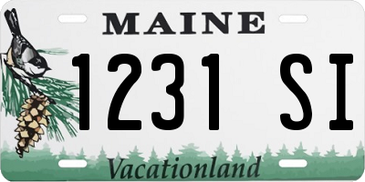 ME license plate 1231SI