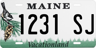 ME license plate 1231SJ