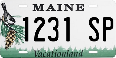 ME license plate 1231SP
