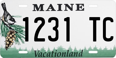 ME license plate 1231TC
