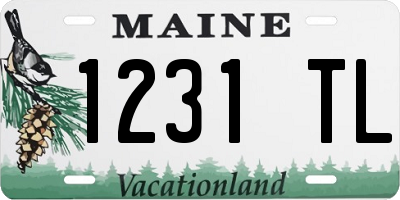 ME license plate 1231TL