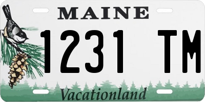 ME license plate 1231TM