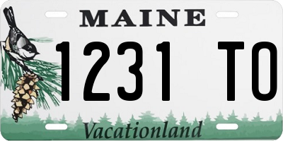 ME license plate 1231TO