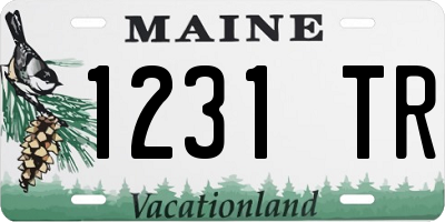 ME license plate 1231TR