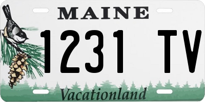 ME license plate 1231TV