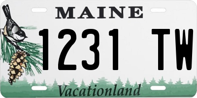 ME license plate 1231TW