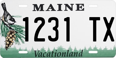 ME license plate 1231TX