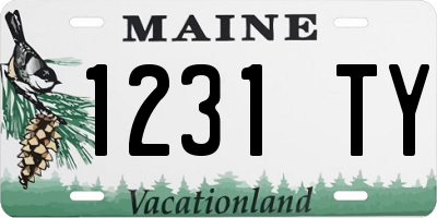 ME license plate 1231TY