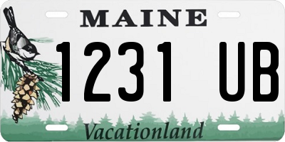 ME license plate 1231UB