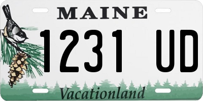 ME license plate 1231UD