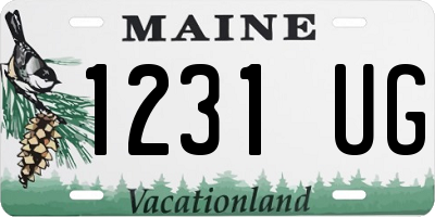 ME license plate 1231UG