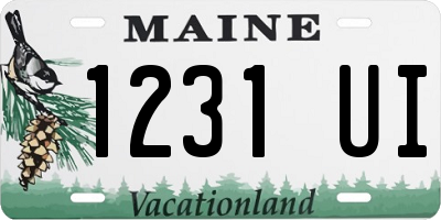 ME license plate 1231UI