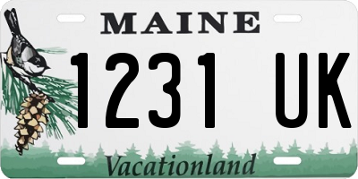 ME license plate 1231UK