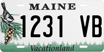 ME license plate 1231VB