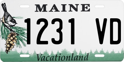 ME license plate 1231VD
