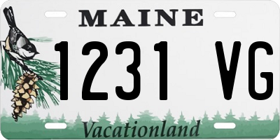 ME license plate 1231VG