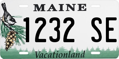 ME license plate 1232SE