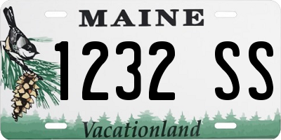 ME license plate 1232SS