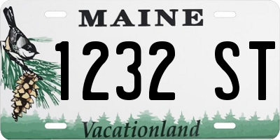 ME license plate 1232ST