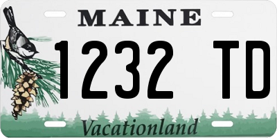 ME license plate 1232TD