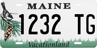 ME license plate 1232TG