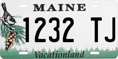 ME license plate 1232TJ