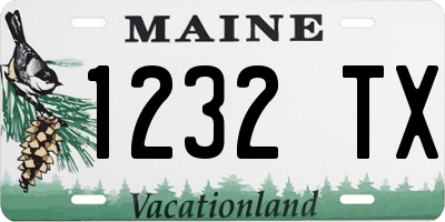 ME license plate 1232TX