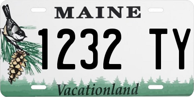 ME license plate 1232TY