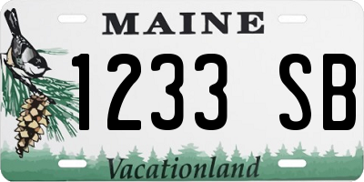 ME license plate 1233SB