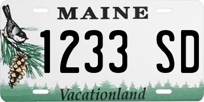 ME license plate 1233SD