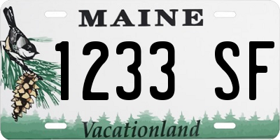 ME license plate 1233SF