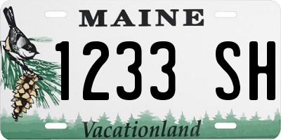 ME license plate 1233SH