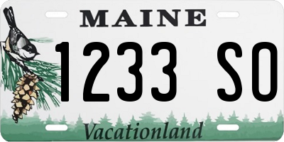 ME license plate 1233SO