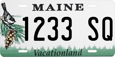 ME license plate 1233SQ
