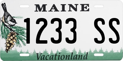 ME license plate 1233SS