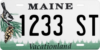 ME license plate 1233ST