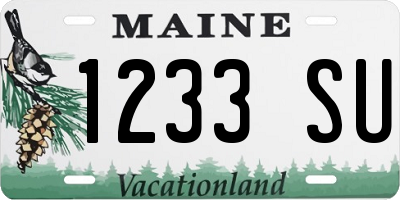 ME license plate 1233SU