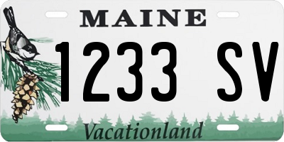 ME license plate 1233SV
