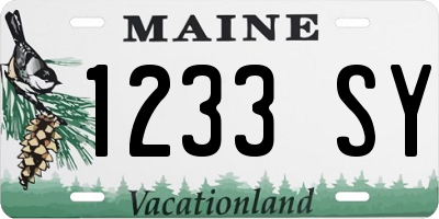 ME license plate 1233SY